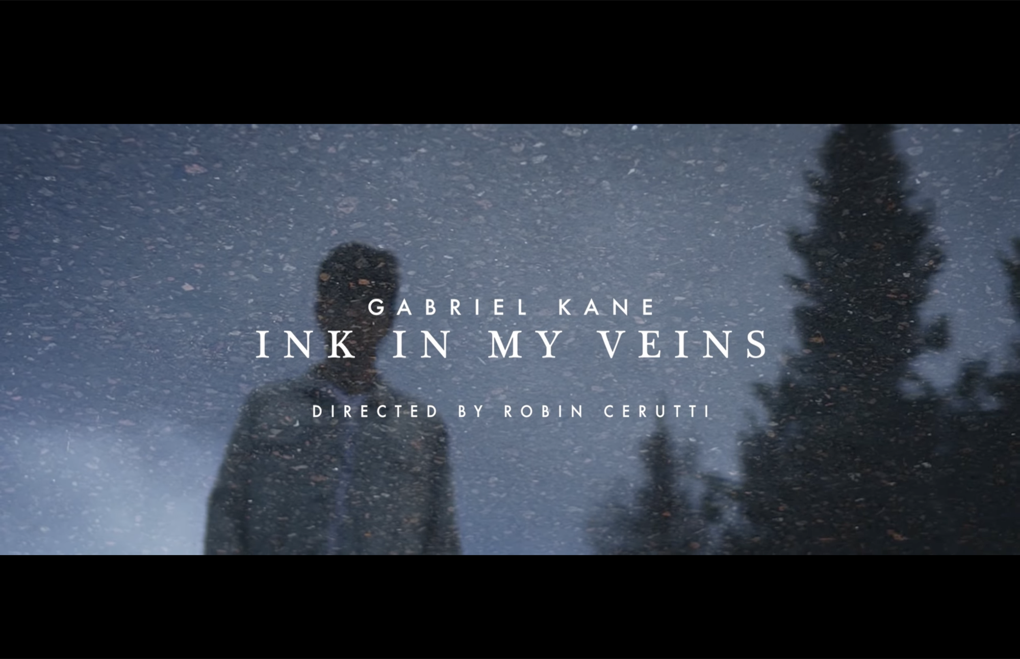 Screenshot 2026 — ink in my veins by Robin Cerutti